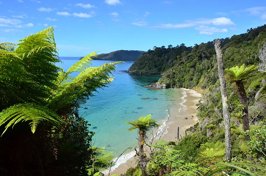 Stewart Island Coast